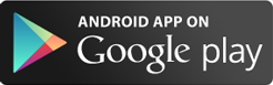 Google Play Store 